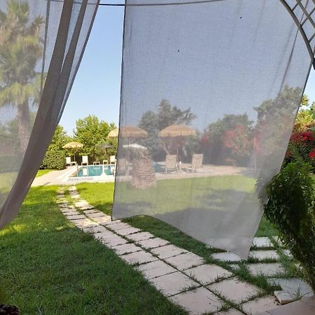 Leone Luxury Villas Kalamákion Esterno foto