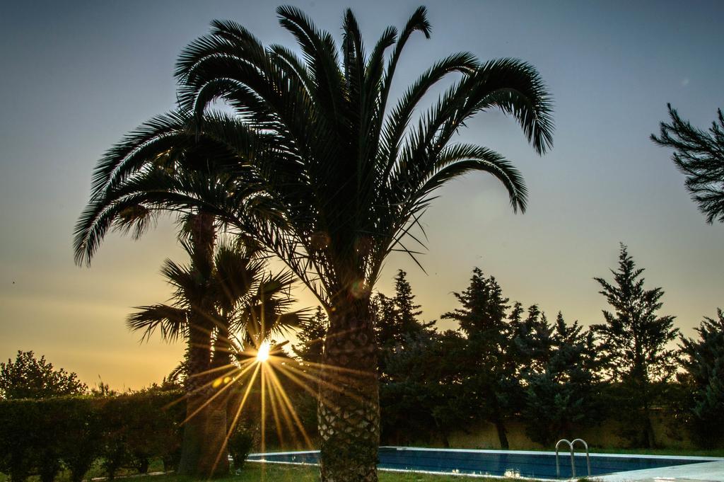 Leone Luxury Villas Kalamákion Esterno foto