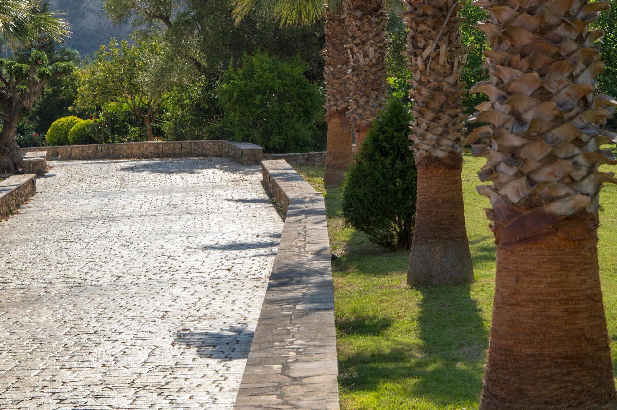 Leone Luxury Villas Kalamákion Esterno foto
