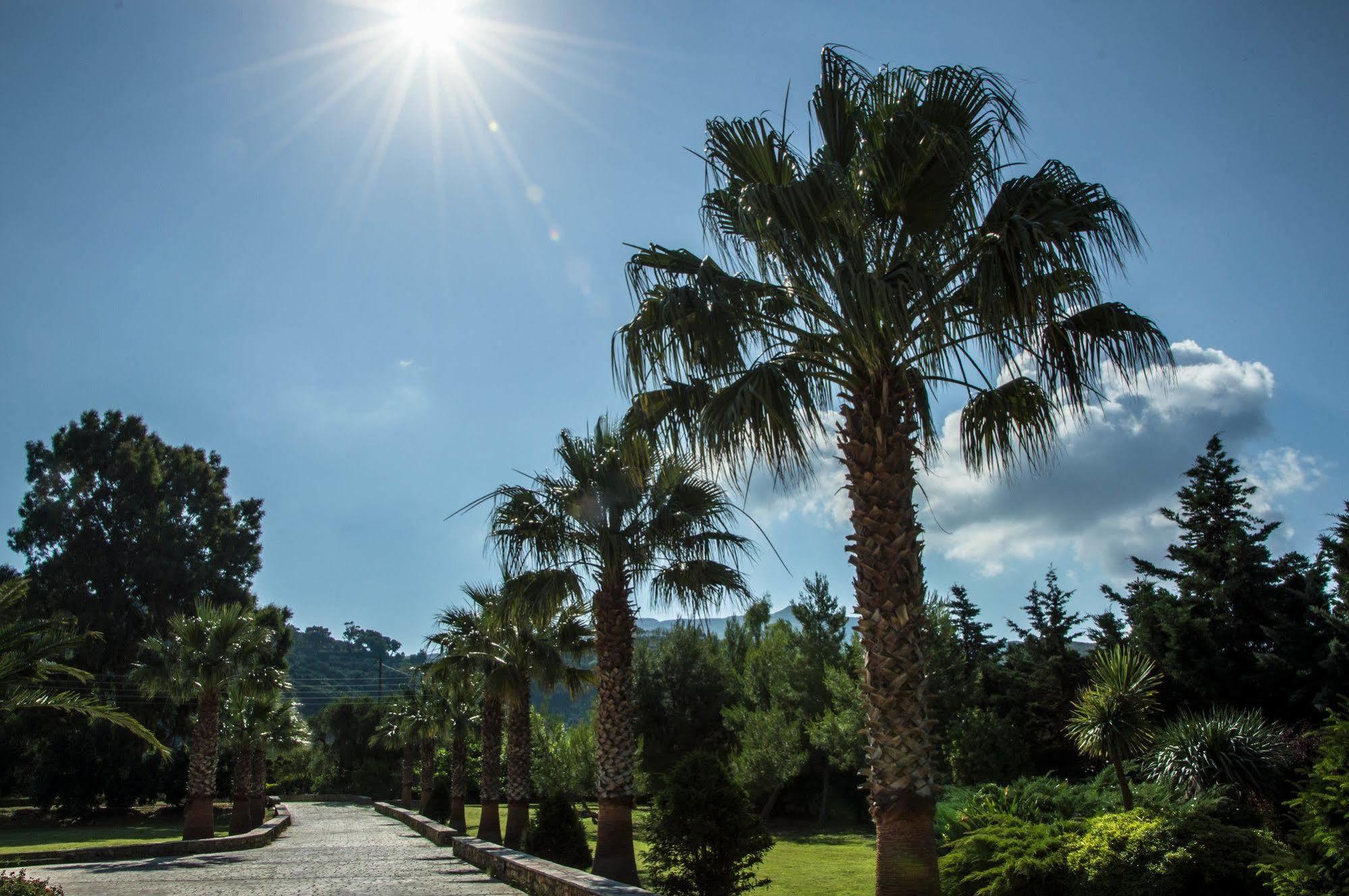 Leone Luxury Villas Kalamákion Esterno foto